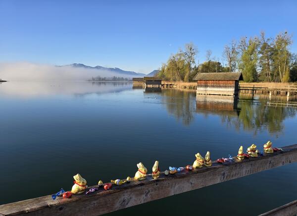 Image to 2025 - Oster-Tango-Tage am Chiemsee